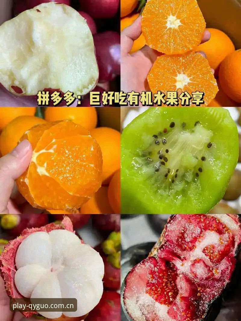 奇异果体育功能深度解析：从入门到精通的完整使用指南