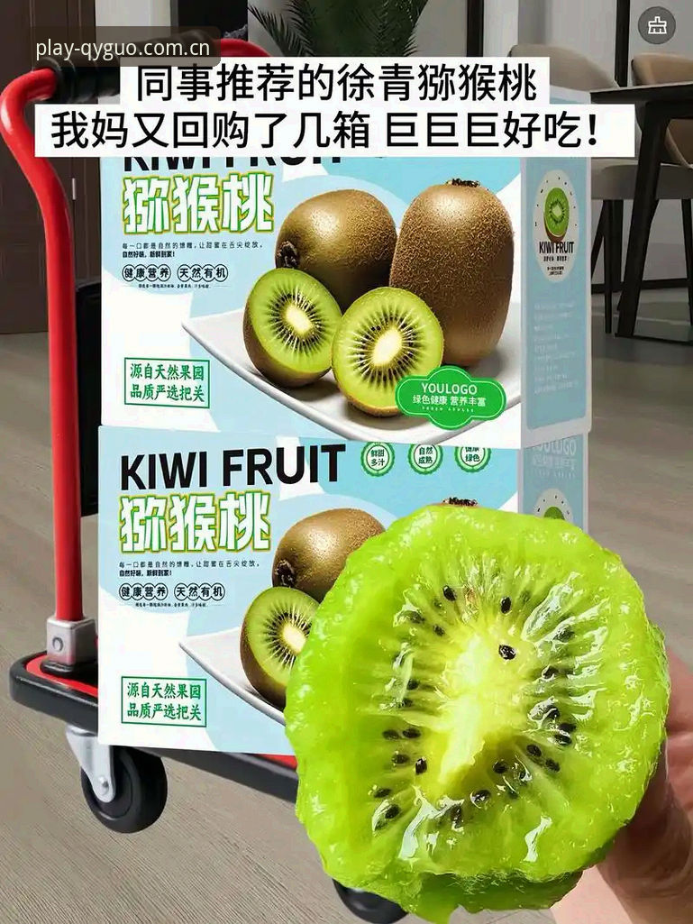 奇异果官网怎么样 奇异果官网深度解析与使用指南