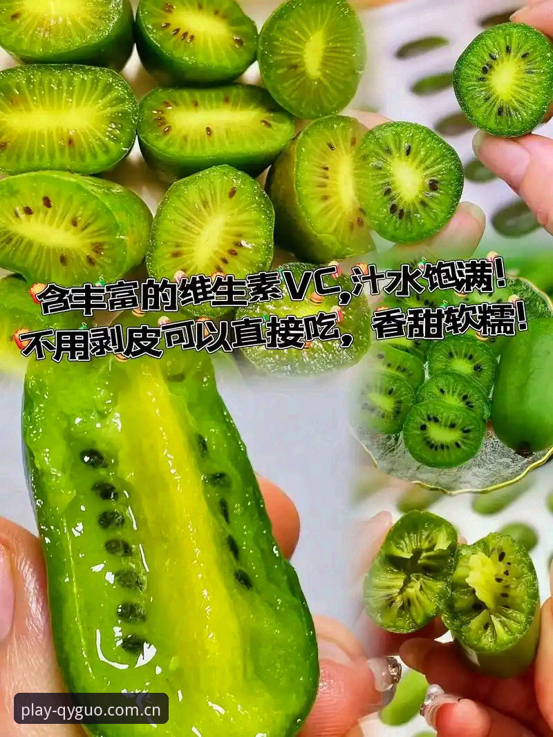 奇异果官网入口 奇异果体育入口全面解析:从下载体验到创新玩法
